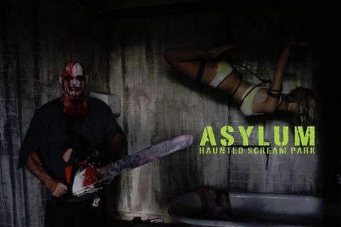 asylum14review
