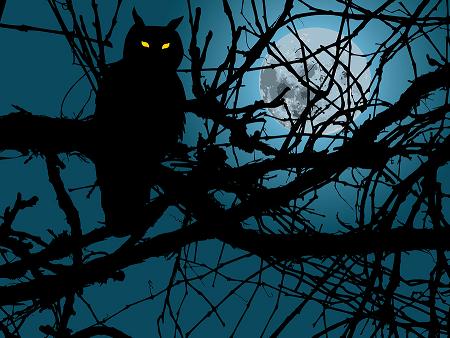 nightowl